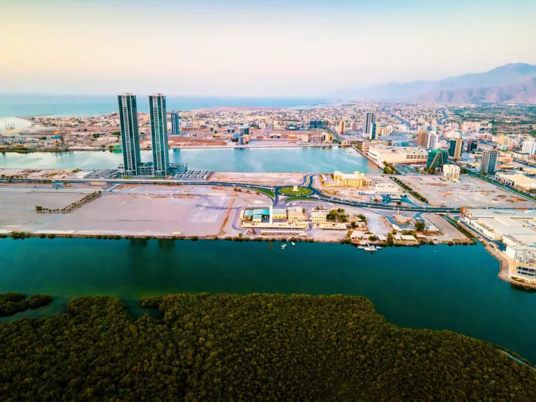 ras-al-khaimah-mangrove-scaled-1